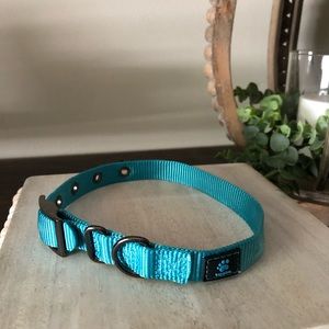 top paw collars